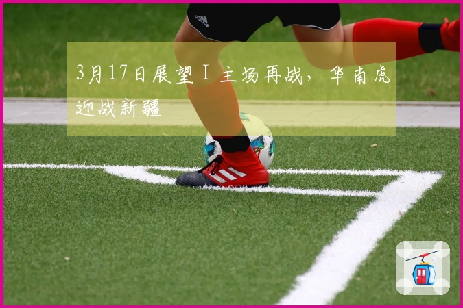 3月17日展望 I 主场再战，华南虎迎战新疆