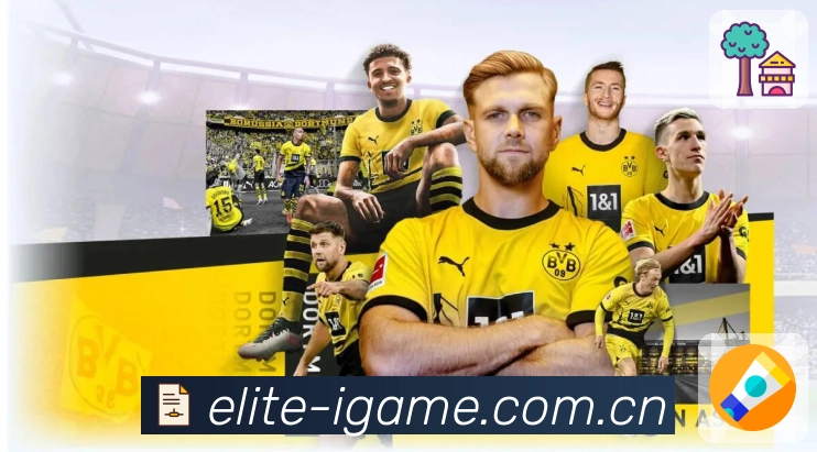 多端观赛体验展示